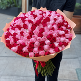 Royal Promise 100 Mix Roses